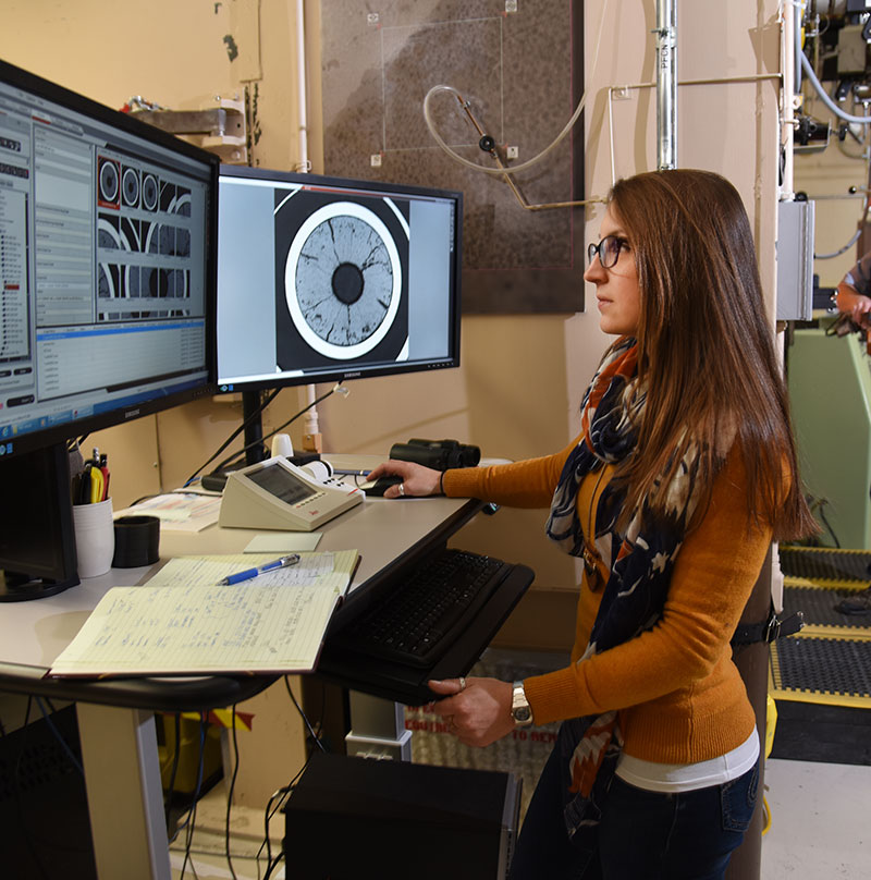 Woman on computer examining reactor