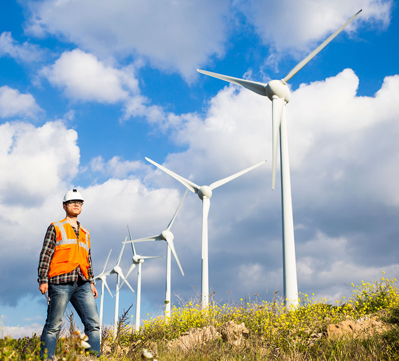 Wind Engineer