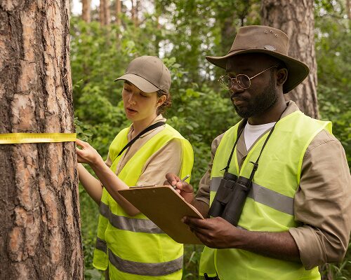 Environmental Scientist