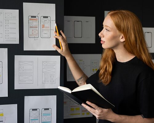 Data Visualization & User Experience (UX) Engineer