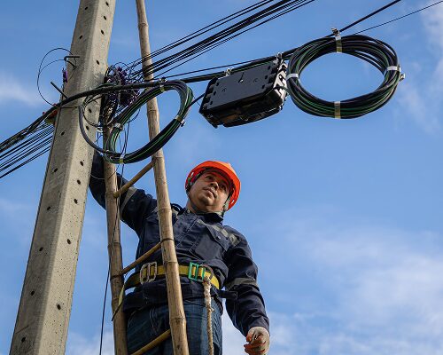 Electric Utility Lineworker